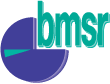 Logo der Bau MSR GmbH aus Leipzig